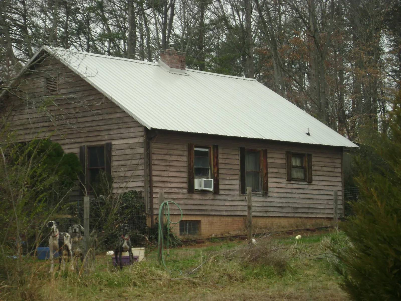 White metal roof on an old wood sided farmhouse, from a Asphalt Shingle Roof Repair job in Wellston